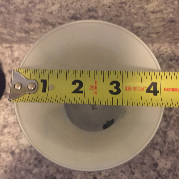 π€ A Vase with Main Character Energy π€ Serving Looks AND Stems πΊπΌπ - Picture 5 of 6